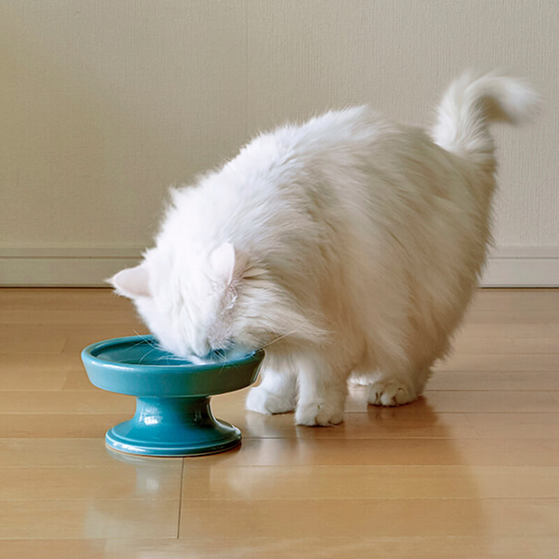 hasamiペット食器