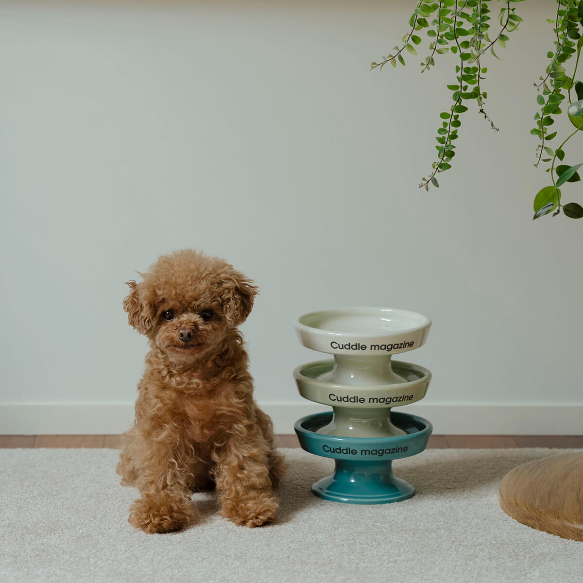 波佐見焼のペット食器