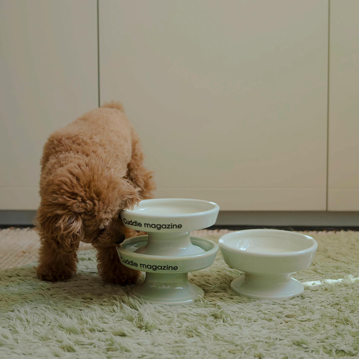 波佐見焼のペット食器