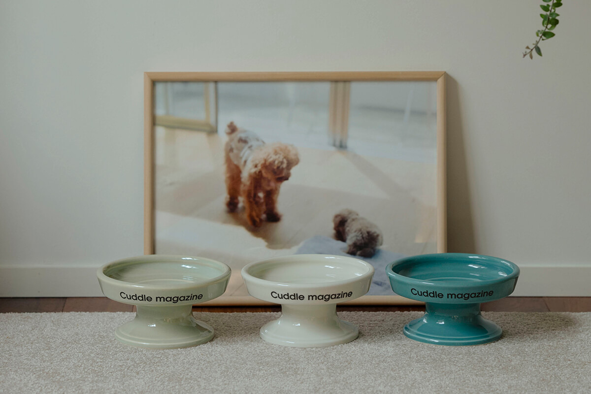 波佐見焼のペット食器