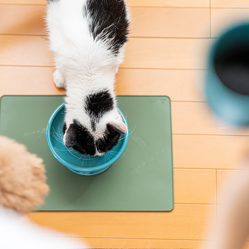 ペット食器