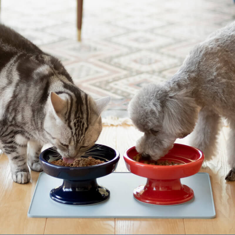 hasamiペット食器