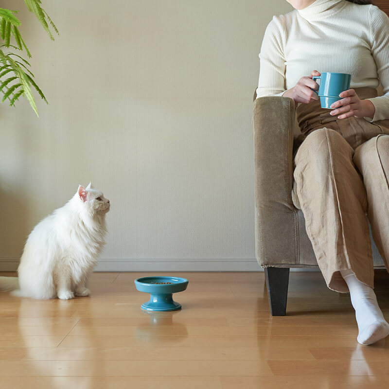 hasamiペット食器