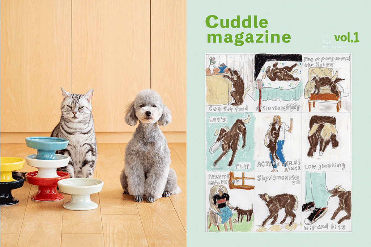 マルヒロ　hasami&Cuddle magazine コラボ