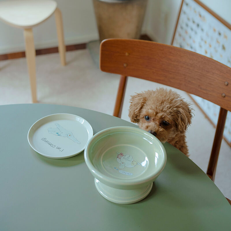 hasamiとカドルマガジンコラボのペット食器