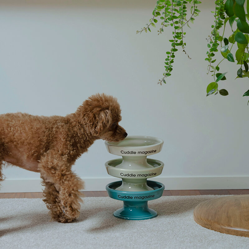hasamiとカドルマガジンコラボのペット食器