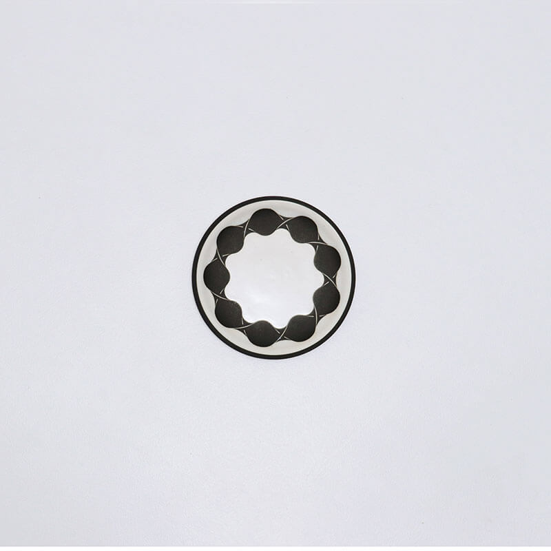 TAGATA13cmプレートの写真